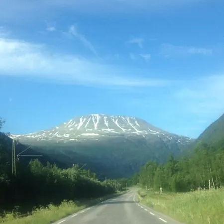 Skogheim Hytter Og Camping *